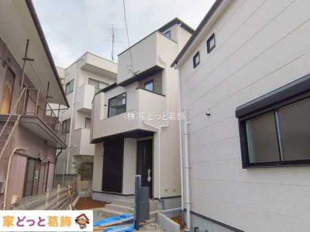 ���n�O�ώʐ^ �B�e��(2026-02-20 00:00:00)