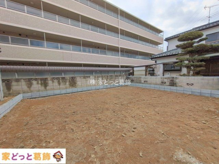 ���n�O�ώʐ^ �B�e��(2026-02-16 00:00:00)