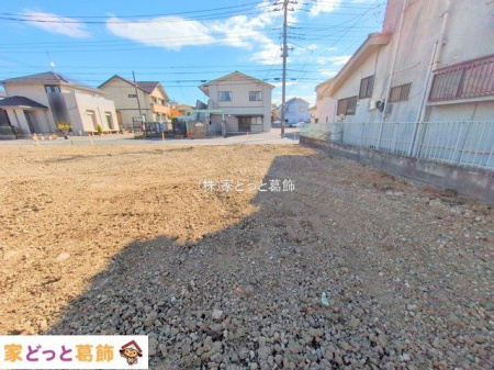 ���n�O�ώʐ^ �B�e��(2025-11-19 00:00:00)