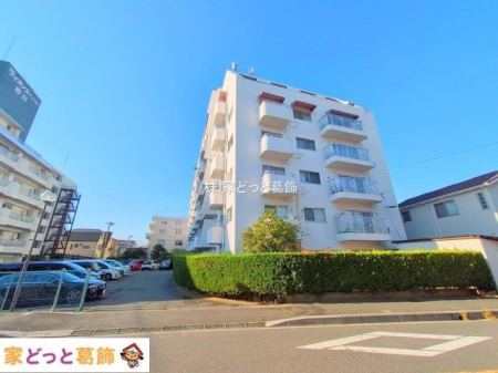 ���n�O�ώʐ^ �B�e��(2025-11-26)