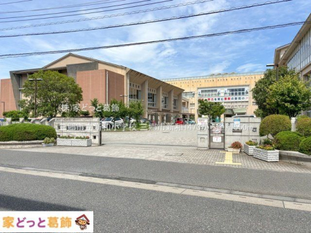 ���ӊ� �O���s���V�a���w�Z �B�e��(2024-07-09) 550m