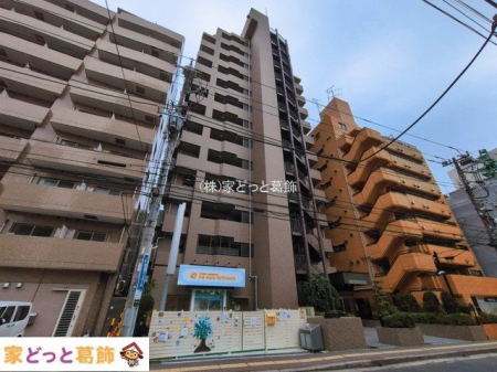 ���n�O�ώʐ^ �B�e��(2026-03-02 00:00:00)