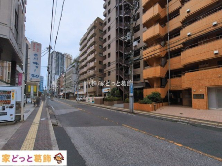 ���n�O�ώʐ^ �B�e��(2026-03-02 00:00:00)