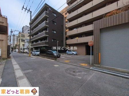 ���n�O�ώʐ^ �B�e��(2026-03-02 00:00:00)