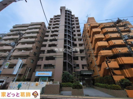 ���n�O�ώʐ^ �B�e��(2026-03-02 00:00:00)