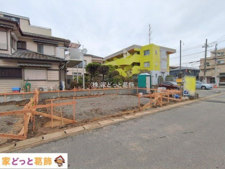 ���n�O�ώʐ^ �B�e��(2026-02-26)