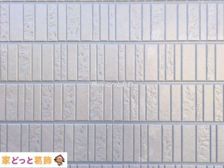 ���n�O�ώʐ^ �B�e��(2025-11-26 00:00:00)