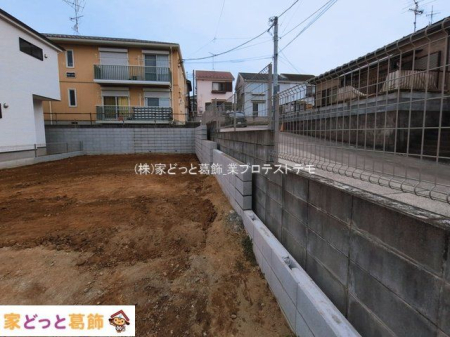 ���n�O�ώʐ^ �B�e��(2026-03-10 00:00:00)