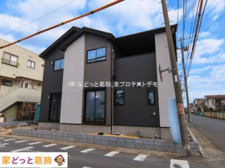 ���n�O�ώʐ^ �B�e��(2026-03-06 00:00:00)