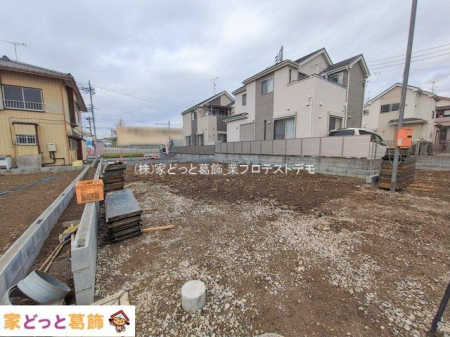 ���n�O�ώʐ^ �B�e��(2026-02-17 00:00:00)