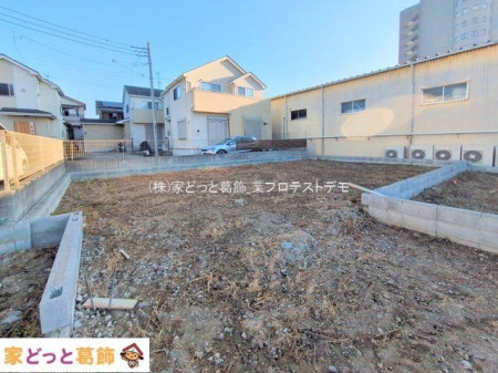 ���n�O�ώʐ^ �B�e��(2025-11-17 00:00:00)