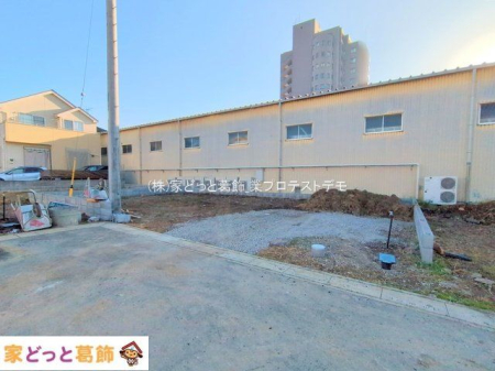 ���n�O�ώʐ^ �B�e��(2025-11-17 00:00:00)