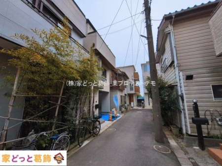 ���n�O�ώʐ^ �B�e��(2026-03-13 00:00:00)