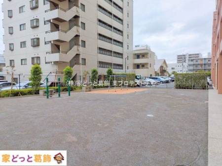 ���n�O�ώʐ^ �B�e��(2025-09-12 00:00:00)