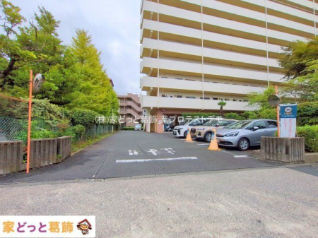 ���n�O�ώʐ^ �B�e��(2025-09-12 00:00:00)