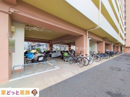 ���n�O�ώʐ^ �B�e��(2025-09-12 00:00:00)