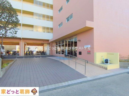 �G���g�����X �B�e��(2025-02-10 00:00:00)