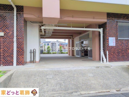 ���n�O�ώʐ^ �B�e��(2025-09-12 00:00:00)