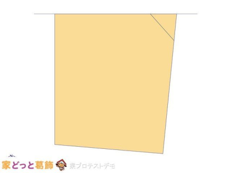 ���̑� �}�ʂƈقȂ�ꍇ�͌�����D��