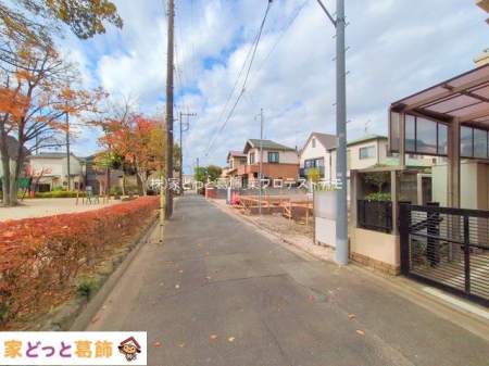 ���n�O�ώʐ^ �B�e��(2025-11-18 00:00:00)