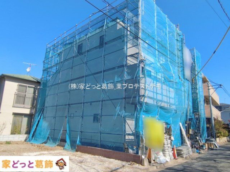 ���n�O�ώʐ^ �B�e��(2026-02-19 00:00:00)