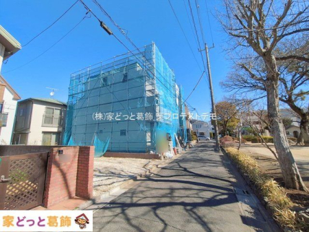 ���n�O�ώʐ^ �B�e��(2026-02-19 00:00:00)