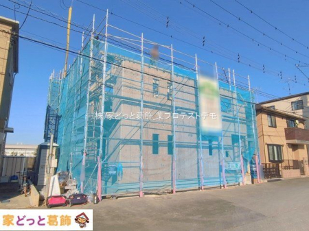 ���n�O�ώʐ^ �B�e��(2026-01-13 00:00:00)