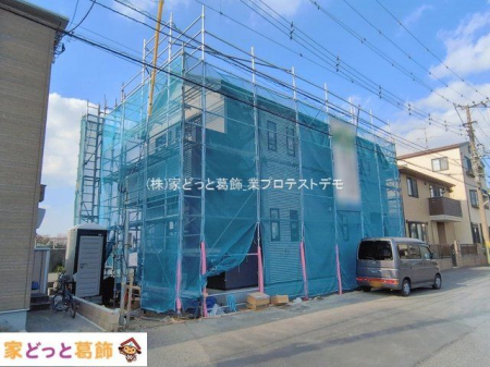 ���n�O�ώʐ^ �B�e��(2026-02-18 00:00:00)