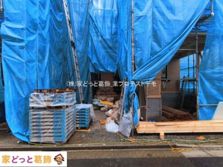 ���n�O�ώʐ^ �B�e��(2026-03-03 00:00:00)