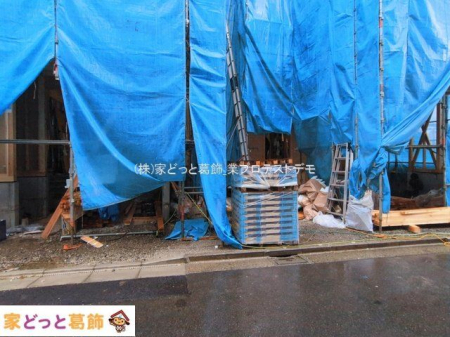 ���n�O�ώʐ^ �B�e��(2026-03-03 00:00:00)