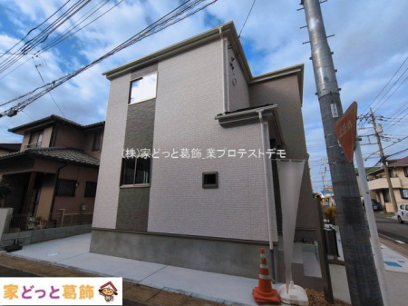 ���n�O�ώʐ^ �B�e��(2026-03-06 00:00:00)