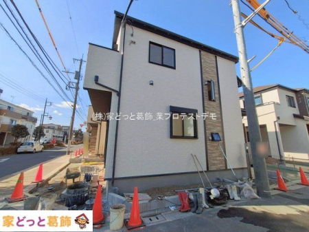 ���n�O�ώʐ^ �B�e��(2026-01-30 00:00:00)