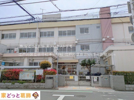 ���ӊ� �]�ː�旧�������{���w�Z �B�e��(2025-04-10) 750m