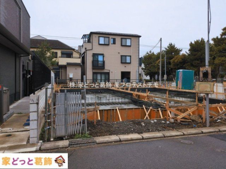 ���n�O�ώʐ^ �B�e��(2026-03-19)