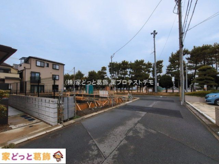 ���n�O�ώʐ^ �B�e��(2026-03-19 00:00:00)