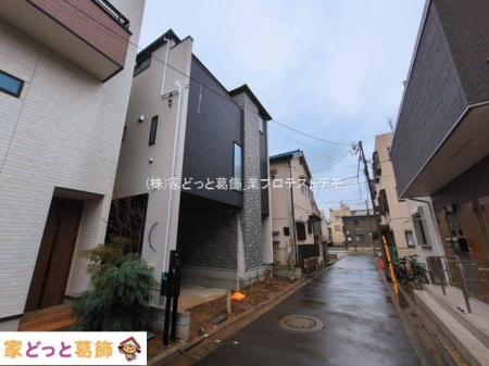 ���n�O�ώʐ^ �B�e��(2026-03-03 00:00:00)