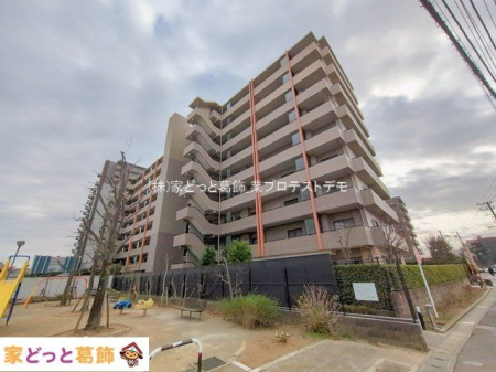 ���n�O�ώʐ^ �B�e��(2026-01-20 00:00:00)