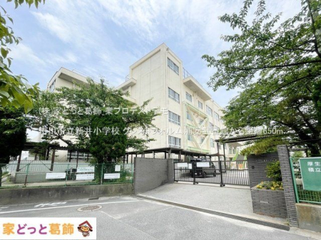 ���ӊ� �s��s���V�䏬�w�Z �B�e��(2024-06-06) 650m