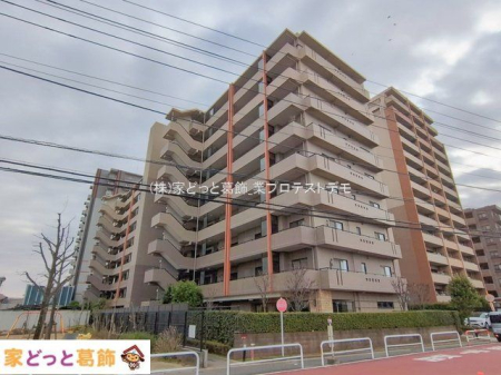 ���n�O�ώʐ^ �B�e��(2026-01-20)