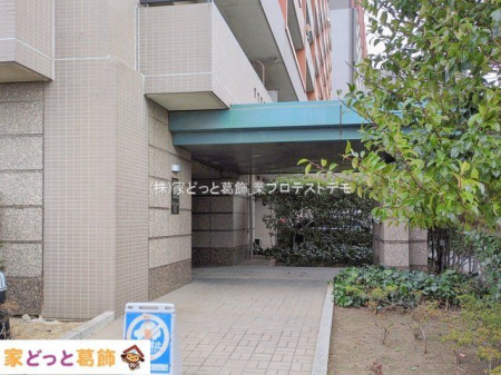 �G���g�����X �B�e��(2026-01-20)