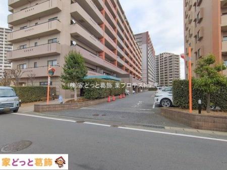 ���n�O�ώʐ^ �B�e��(2026-01-20 00:00:00)