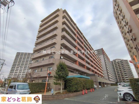 ���n�O�ώʐ^ �B�e��(2026-01-20 00:00:00)