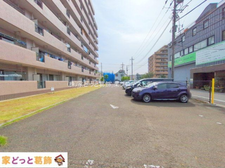 ���n�O�ώʐ^ �B�e��(2025-05-21 00:00:00)