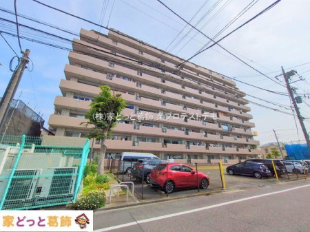 ���n�O�ώʐ^ �B�e��(2025-05-21 00:00:00)