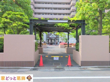 ���n�O�ώʐ^ �B�e��(2025-05-21 00:00:00)