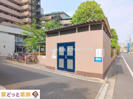 ���n�O�ώʐ^ �B�e��(2025-05-21 00:00:00)