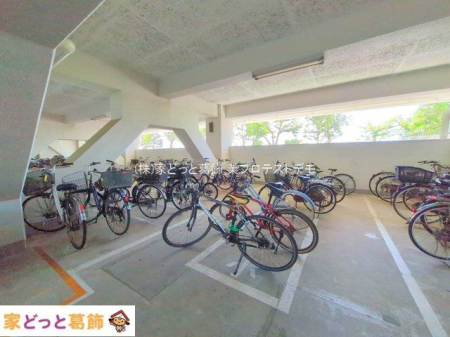 ���n�O�ώʐ^ �B�e��(2025-09-25 00:00:00)