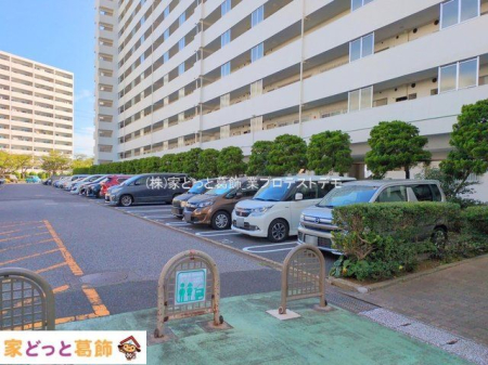 ���n�O�ώʐ^ �B�e��(2025-09-25 00:00:00)