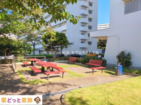 ���n�O�ώʐ^ �B�e��(2025-09-25 00:00:00)