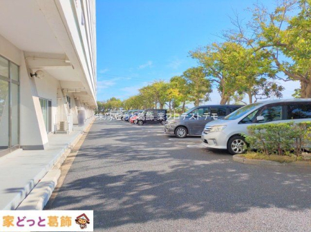 ���n�O�ώʐ^ �B�e��(2025-09-25 00:00:00)